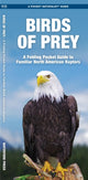 Book cover of: Birds of Prey. By: James Kavanagh