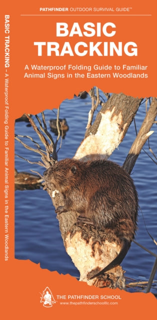 Book cover of: Basic Tracking. By: Dave Canterbury