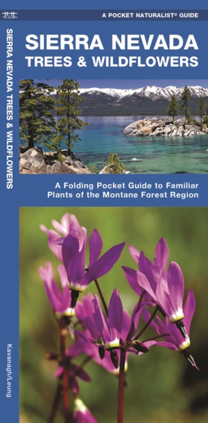 Sierra Nevada Trees & Wildflowers
