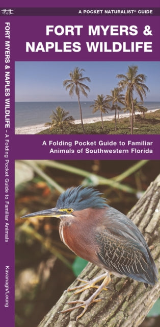 Fort Myers & Naples Wildlife