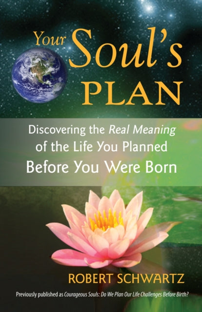 Book cover of: Your Soul's Plan. By: Robert Schwartz