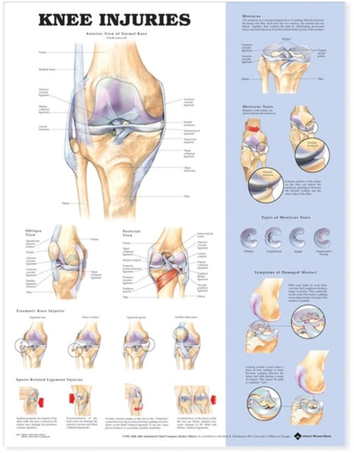 Book cover of: Knee Injuries Anatomical Chart