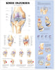 Book cover of: Knee Injuries Anatomical Chart