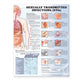 Book cover of: Sexually Transmitted Infections Anatomical Chart. By: Anatomical Chart Company