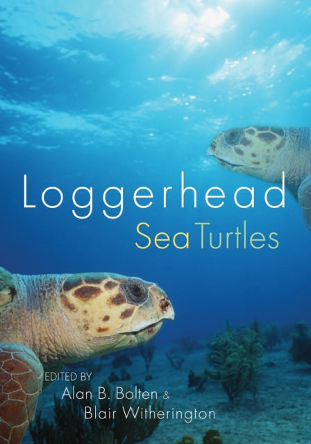 Book cover of: Loggerhead Sea Turtles. By: Alan B. Bolten