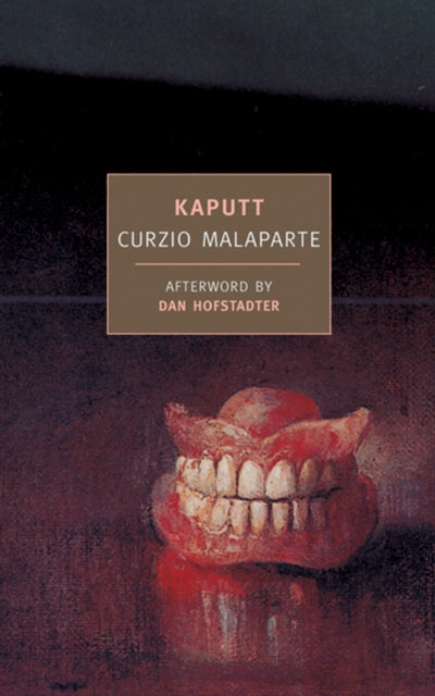 Book cover of: Kaputt