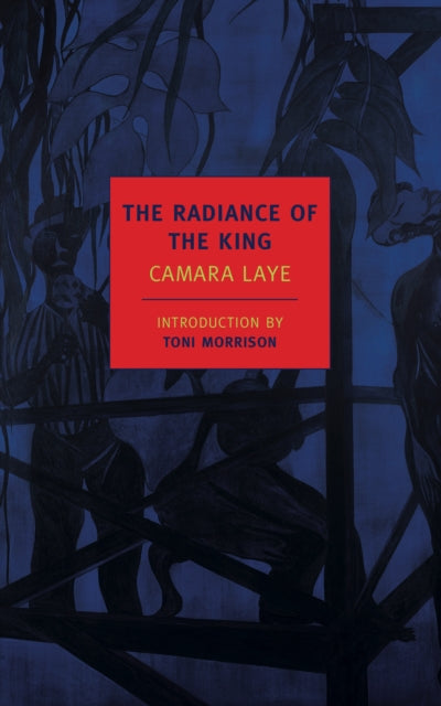 Book cover of: Radiance Of The King. By: Laye Camara