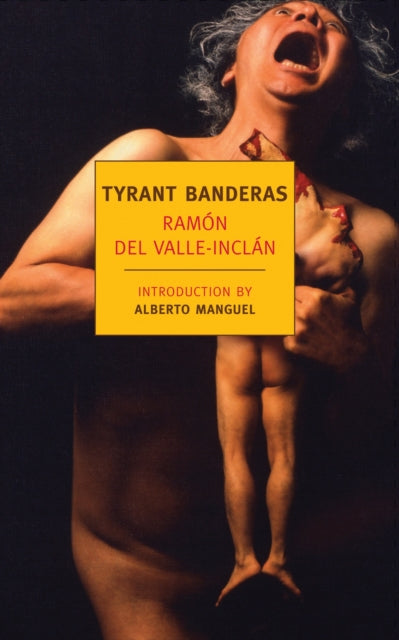 Book cover of: Tyrant Banderas. By: Ramón María del Valle-Inclán