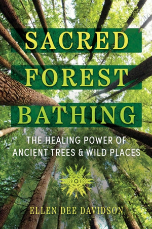 Sacred Forest Bathing, The Healing Power of Ancient Trees and Wild Places