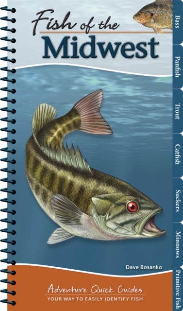 Book cover of: Fish of the Midwest. By: Dave Bosanko