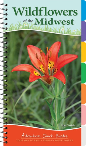 Wildflowers of the Midwest