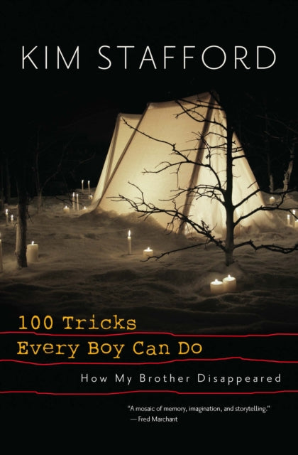 Book cover of: 100 Tricks Every Boy Can Do. By: Kim Robert Stafford