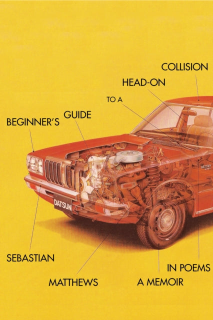 Book cover of: Beginner's Guide to a Head-On Collision. By: Sebastian Matthews