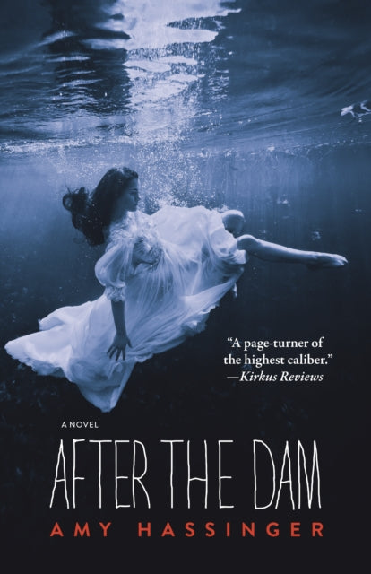 Book cover of: After the Dam. By: Amy Hassinger