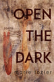 Book cover of: Open the Dark. By: Marie Tozier