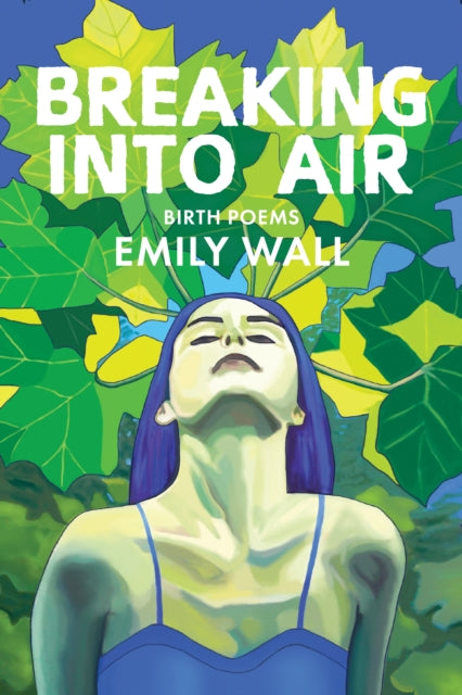 Book cover of: Breaking into Air. By: Emily Wall