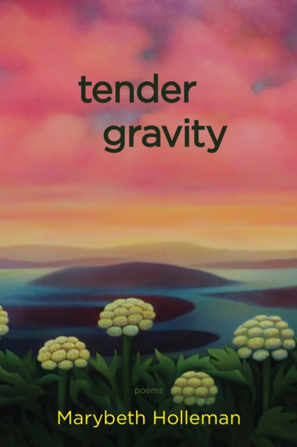 Book cover of: tender gravity. By: Marybeth Holleman