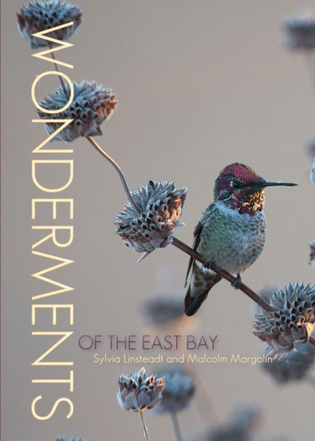 Book cover of: Wonderments of the East Bay. By: Sylvia Linsteadt