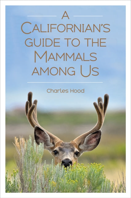 Book cover of: Californian's Guide to the Mammals among Us. By: Charles Hood