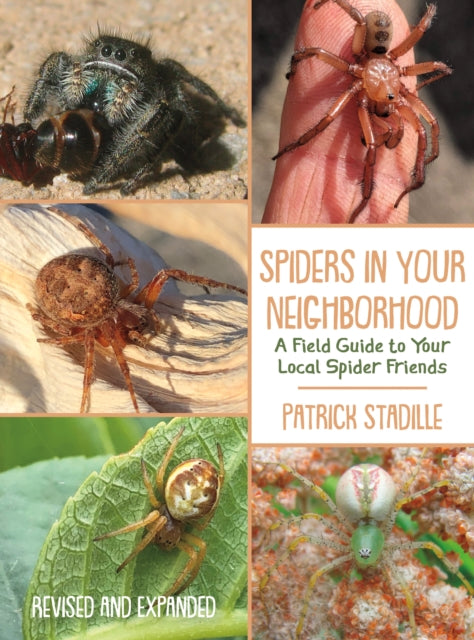 Book cover of: Spiders in Your Neighborhood. By: Patrick Stadille