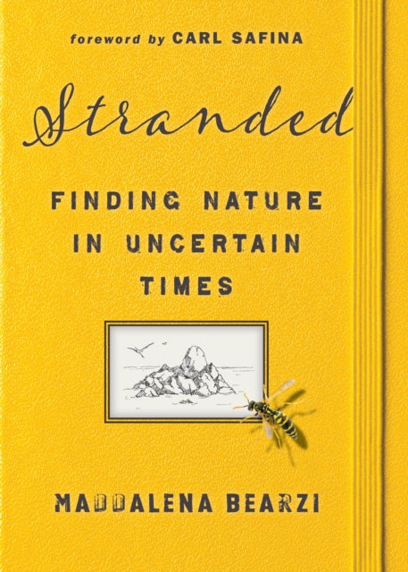 Book cover of: Stranded. By: Maddalena Bearzi