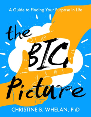Big Picture