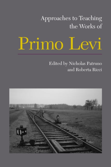 Book cover of: Approaches to Teaching the Works of Primo Levi