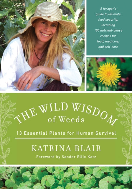 Book cover of: Wild Wisdom of Weeds. By: Katrina Blair