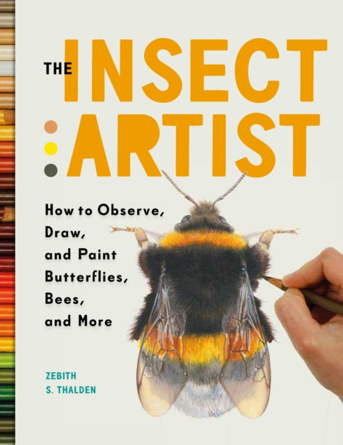 Book cover of: The Insect Artist. By: Stacey Zebith Thalden