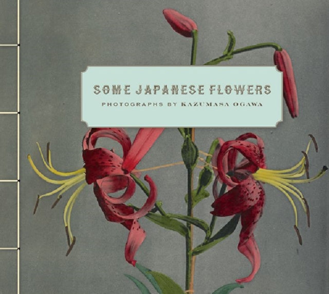 Book cover of: Some Japanese Flowers – Photographs by Kazumasa Ogawa. By: Kazumasa Ogawa
