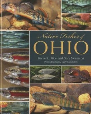 Native Fishes of Ohio