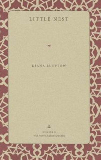 Book cover of: Little Nest. By: Diana Lueptow