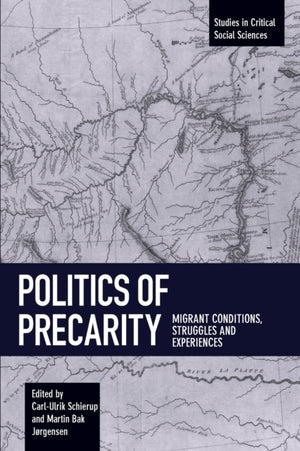 Politics Of Precarity