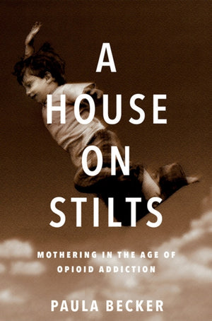 House on Stilts