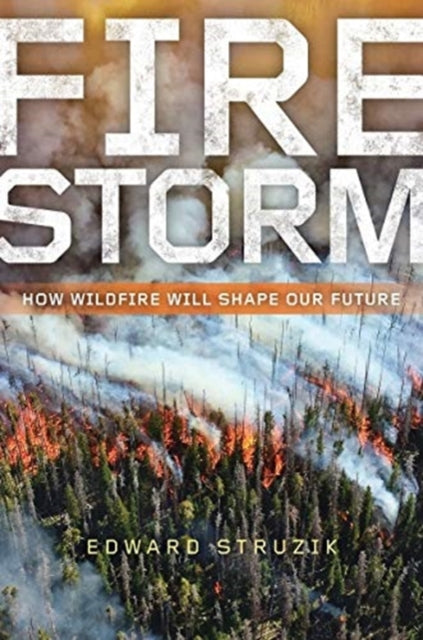 Book cover of: Firestorm. By: Edward Struzik