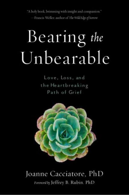 Book cover of: Bearing the Unbearable. By: Joanne Cacciatore