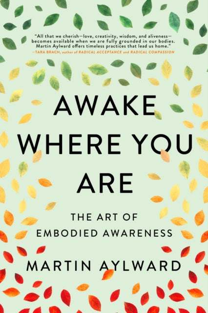 Book cover of: Awake Where You Are. By: Martin Aylward