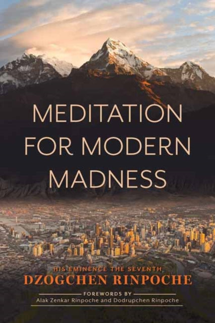 Book cover of: Meditation for Modern Madness