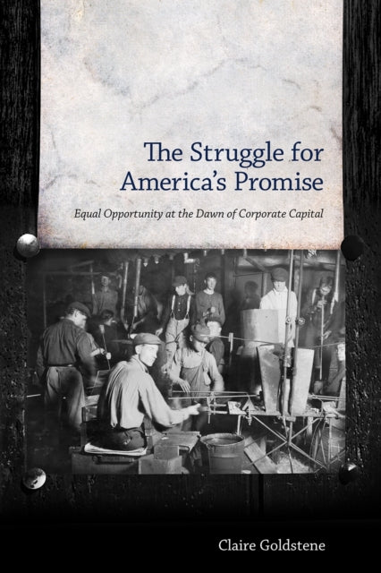Book cover of: Struggle for America's Promise. By: Claire Goldstene
