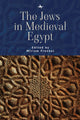 Book cover of: Jews in Medieval Egypt. By: Miriam Frenkel