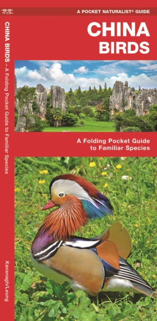 Book cover of: China Birds. By: James Kavanagh