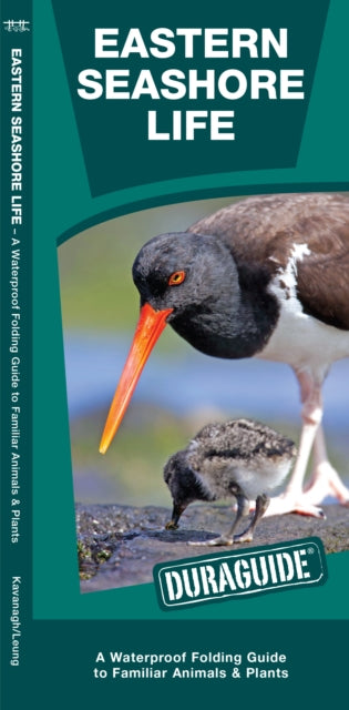 Book cover of: Eastern Seashore Life. By: James Kavanagh