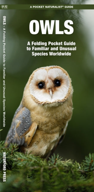 Book cover of: Owls. By: James Kavanagh