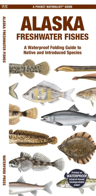 Book cover of: Alaska Freshwater Fishes. By: Waterford Press