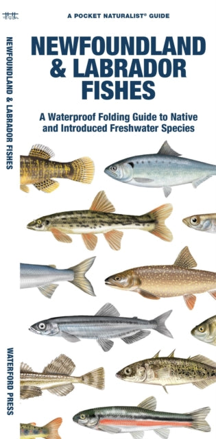 Book cover of: Newfoundland & Labrador Fishes. By: Waterford Press