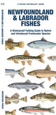 Book cover of: Newfoundland & Labrador Fishes. By: Waterford Press