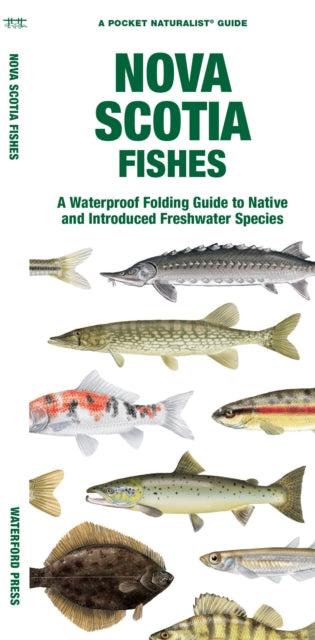 Book cover of: Nova Scotia Fishes. By: Waterford Press