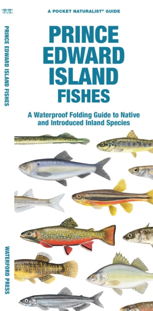 Book cover of: Prince Edward Island Fishes. By: Waterford Press