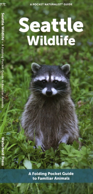 Seattle Wildlife