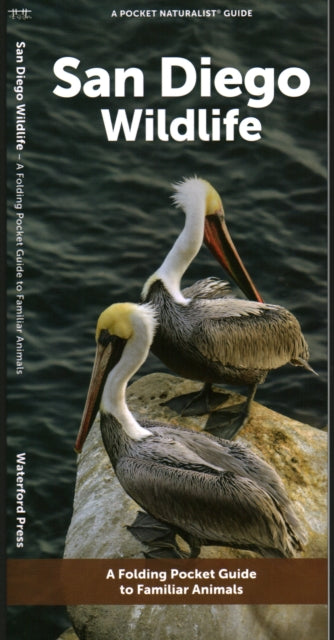 Book cover of: San Diego Wildlife. By: Waterford Press